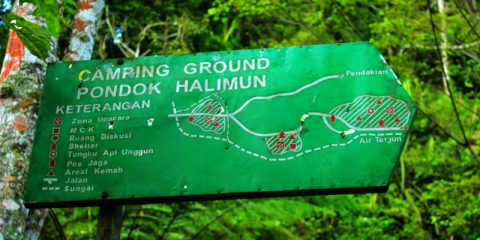Camping ground pondok Wisata Halimun Sukabumi