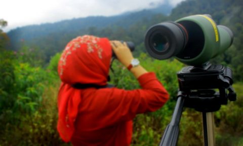 birdwatching dengan lensa nikon