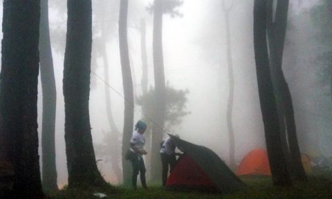 camping ground ciputri