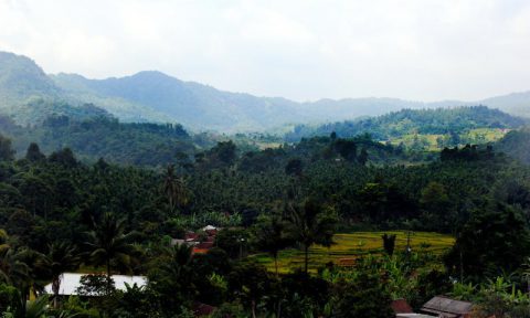 Tempat wisata Bogor kampung agro lansekap